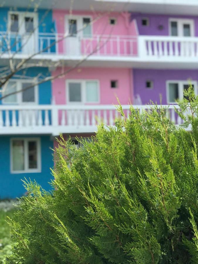 Casa Barbie Costinesti Hostel Ngoại thất bức ảnh