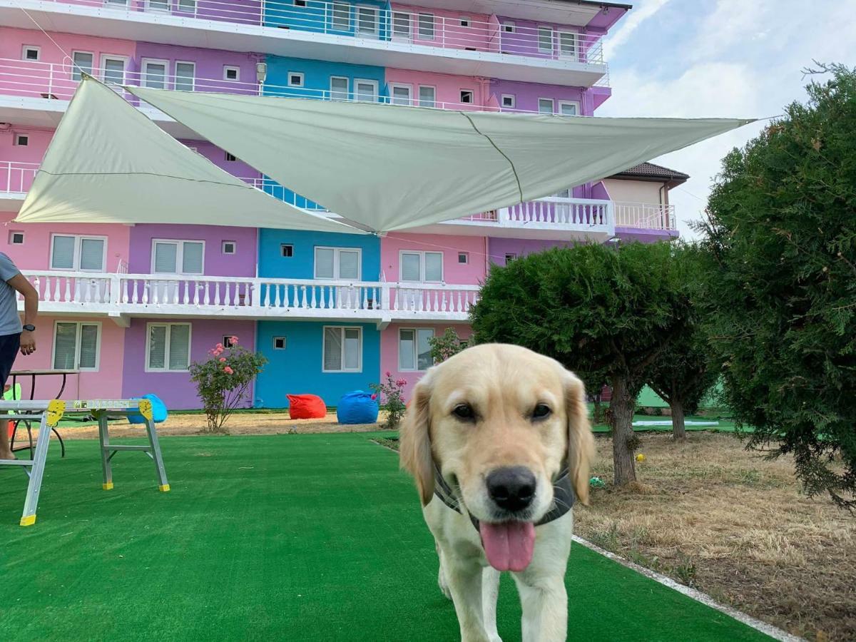 Casa Barbie Costinesti Hostel Ngoại thất bức ảnh